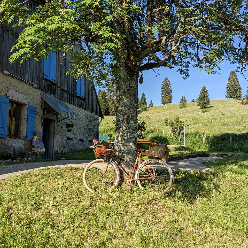 la-batie-dessous-gite-location-salle-reception-mouthe-doubs-jura-ferme-alpage-ext-5