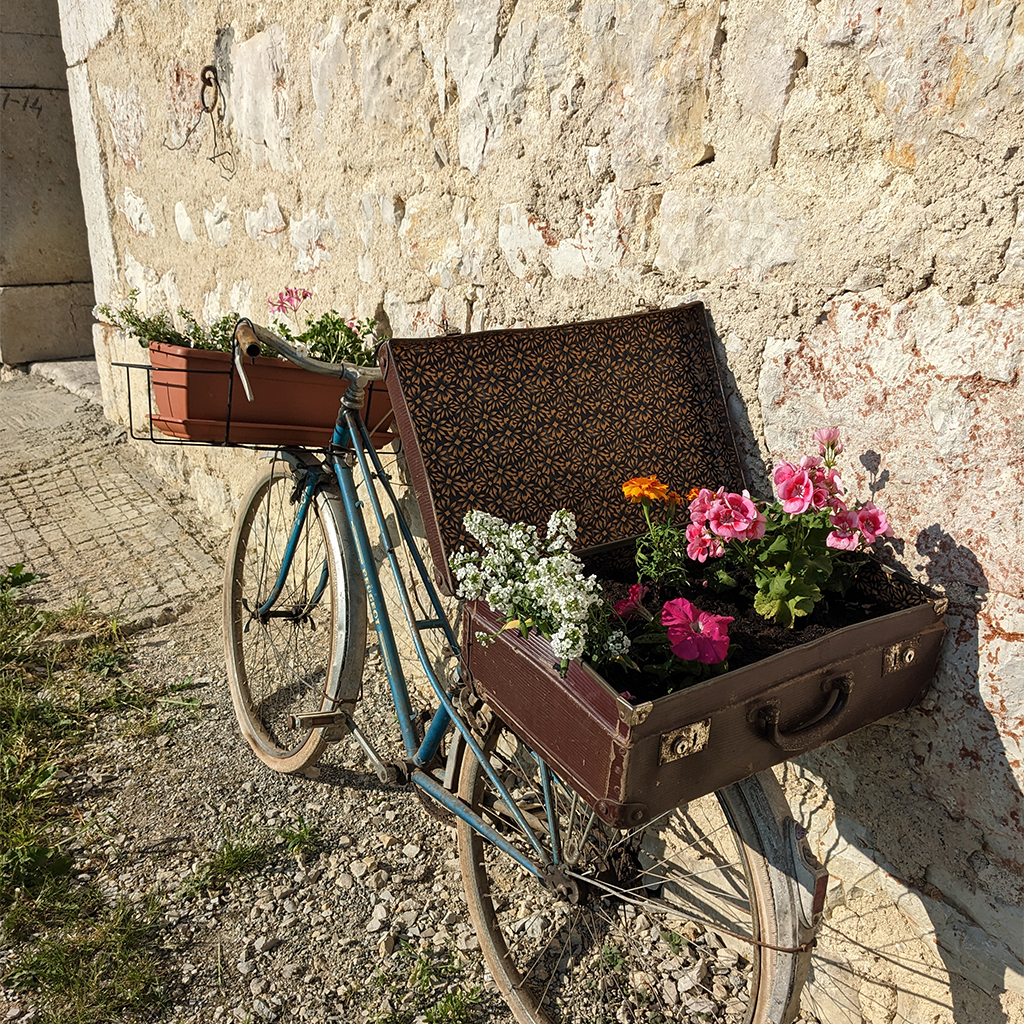 la-batie-dessous-gite-location-salle-reception-mouthe-doubs-jura-ferme-alpage-ext-6