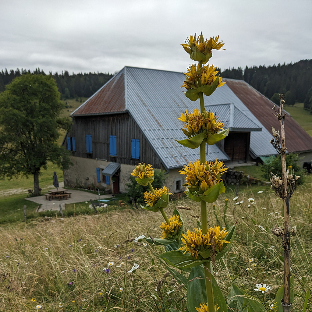 la-batie-dessous-gite-location-salle-reception-mouthe-doubs-jura-ferme-alpage-ext-8